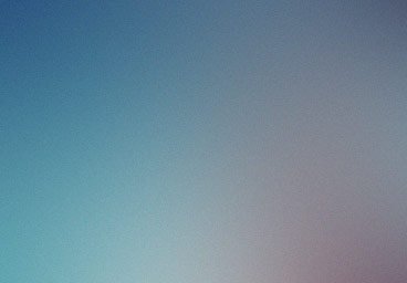 Pulvinar sagittis congue demo